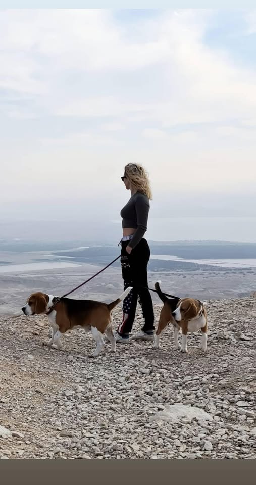 Katti Fox ISRAPOLE